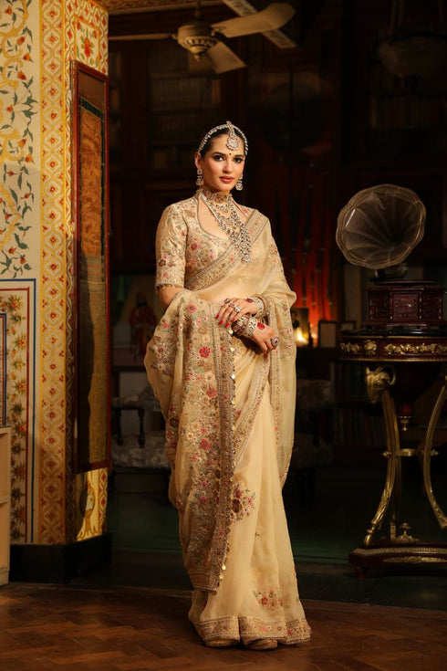 Ahista ivory mayur applique sari set
