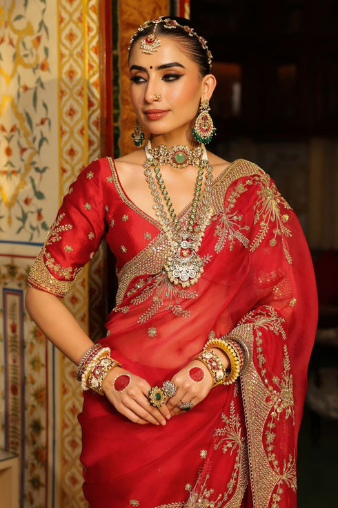 Ahista red zardozi sari set