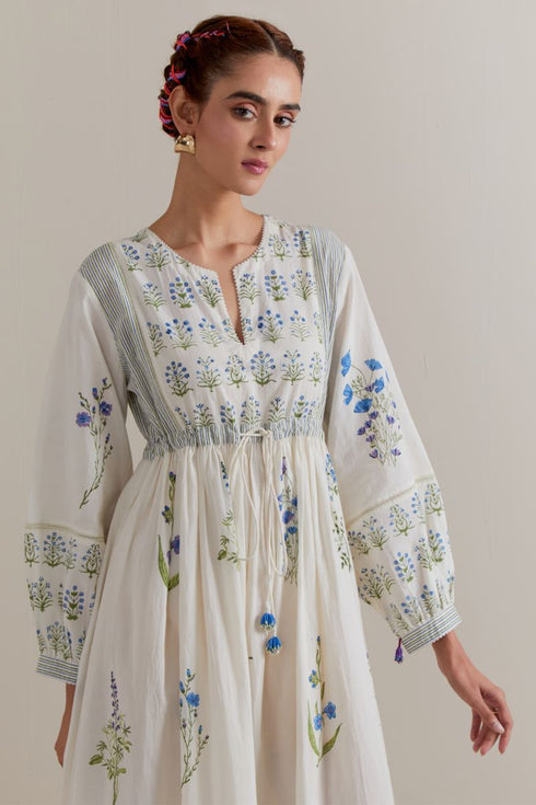 Aranya blue and green printed long dress