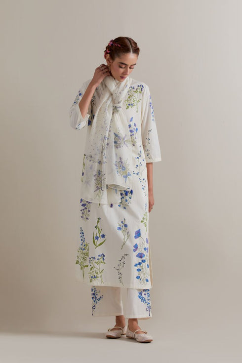 Aranya blue and green printed straight long kurta set