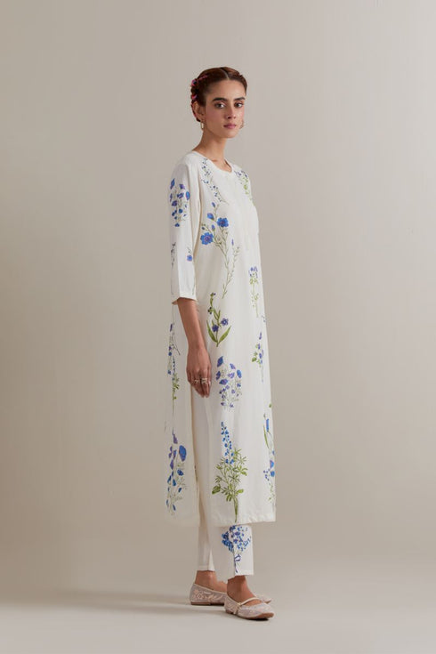 Aranya blue and green printed straight long kurta set
