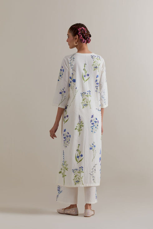 Aranya blue and green printed straight long kurta set