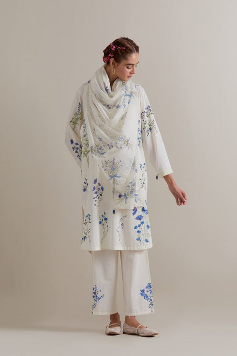 Aranya blue and green printed straight short kurta set