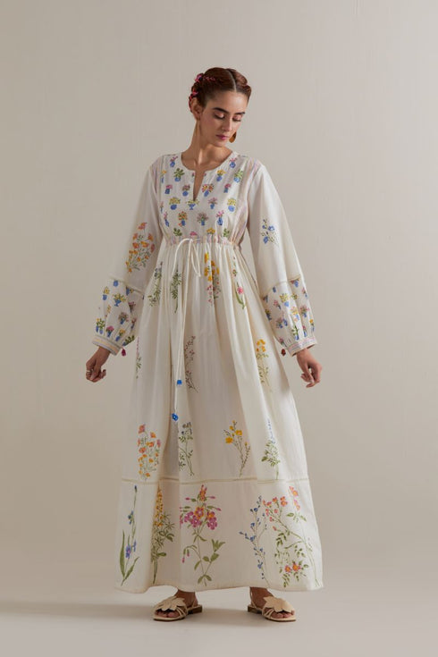 Aranya multi-color printed long dress