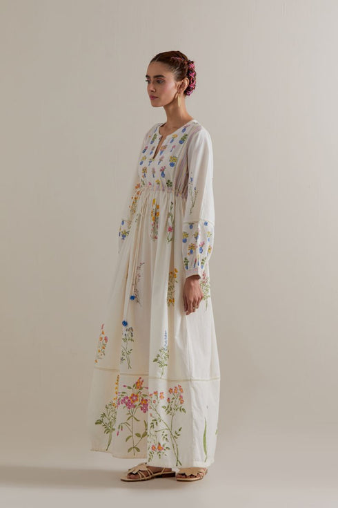 Aranya multi-color printed long dress