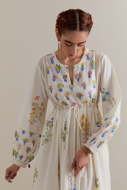 Aranya multi-color printed long dress