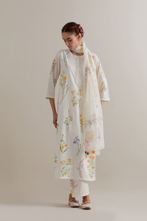 Aranya multi-color printed straight long kurta set