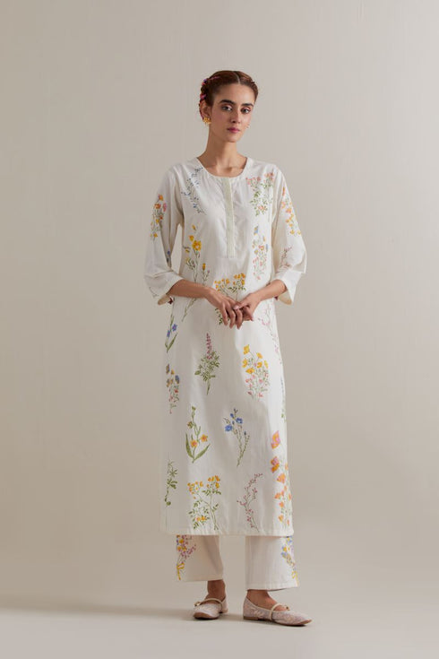 Aranya multi-color printed straight long kurta set