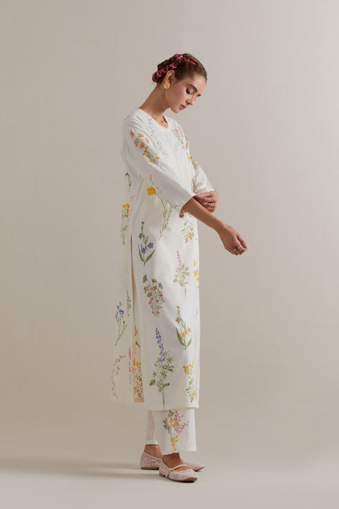 Aranya multi-color printed straight long kurta set