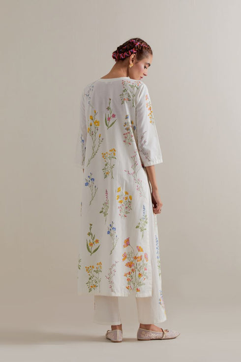 Aranya multi-color printed straight long kurta set
