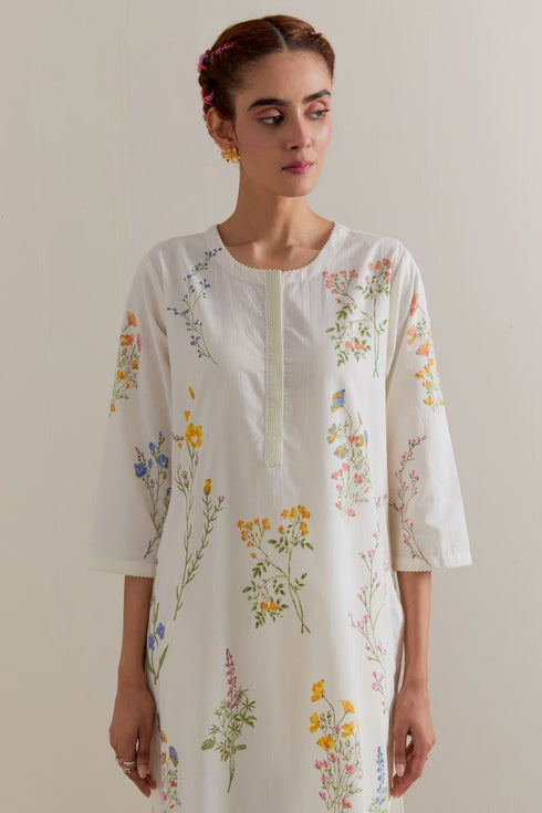 Aranya multi-color printed straight long kurta set