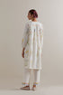Aranya multi-color printed straight short kurta set