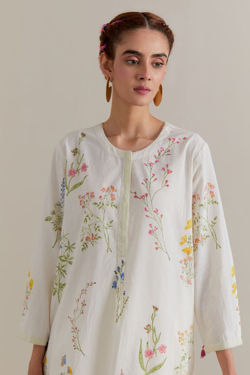 Aranya multi-color printed straight short kurta set