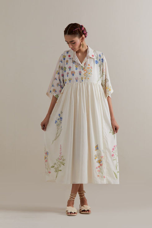 Aranya multi color printed dress
