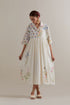 Aranya multi color printed dress