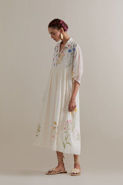 Aranya multi color printed dress