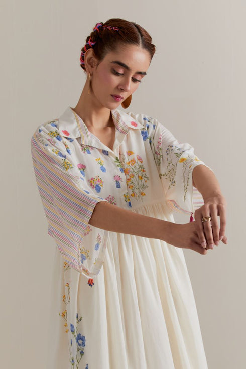 Aranya multi color printed dress