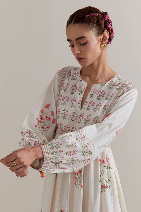 Aranya pink and green printed long dress