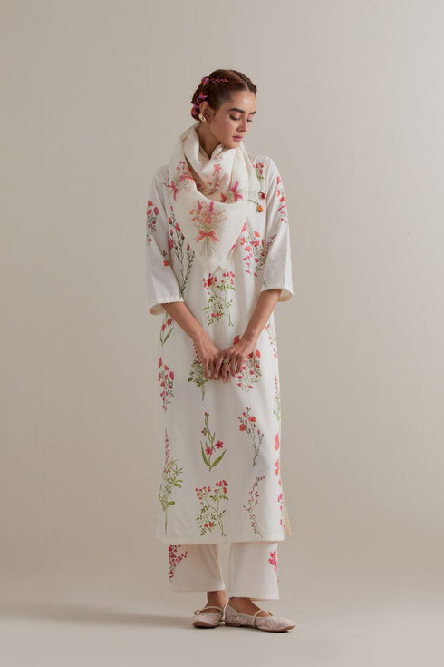 Aranya pink and green printed straight long kurta set