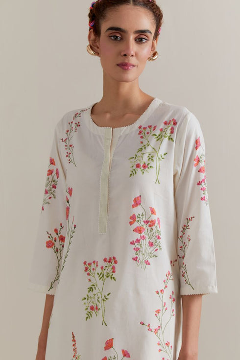 Aranya pink and green printed straight long kurta set