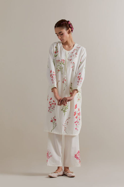 Aranya pink and green printed straight short kurta set