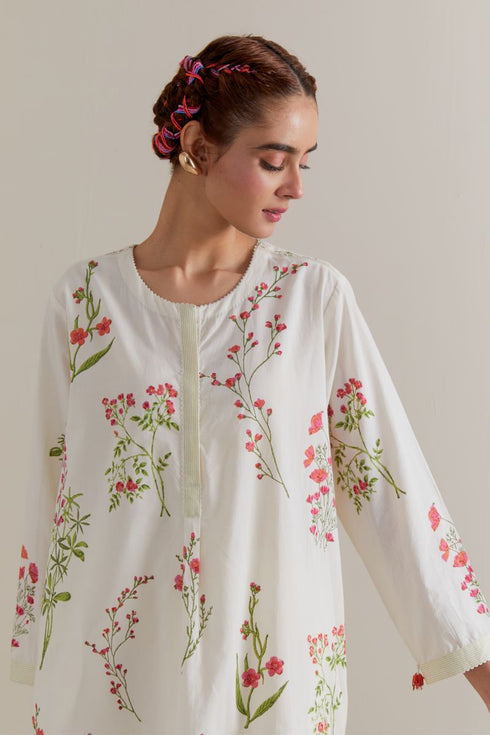 Aranya pink and green printed straight short kurta set