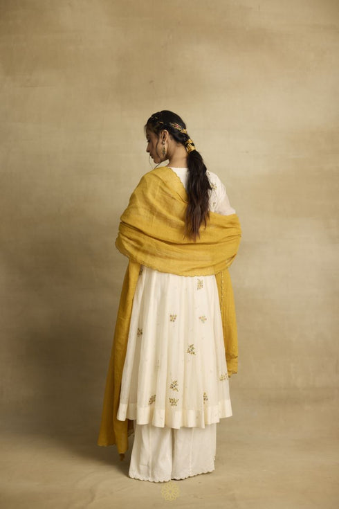 Asin ivory kurta set
