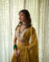 Avni basant yellow, grey and beige blouse