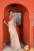 Bagh boota beige and red sari set