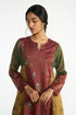 Bakula multicolor kurta set
