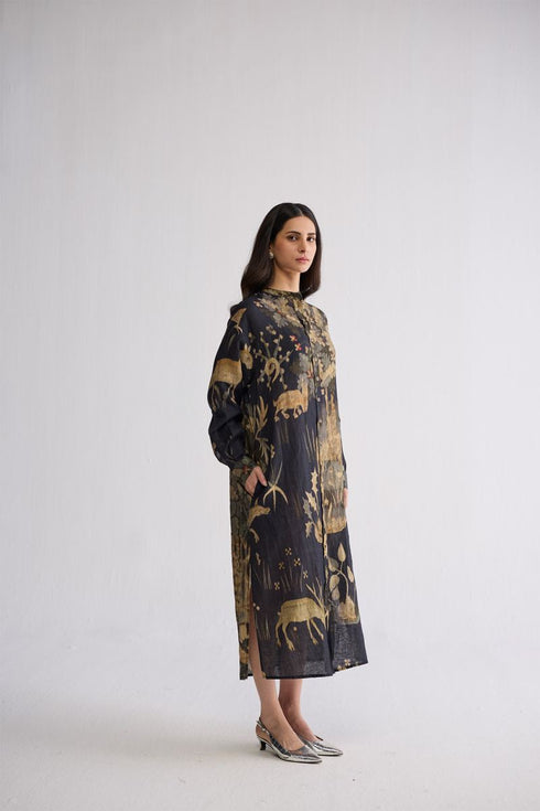 Banyan linen shirt dress