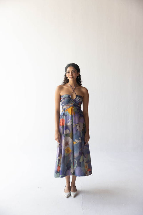 Blueberry grove dress