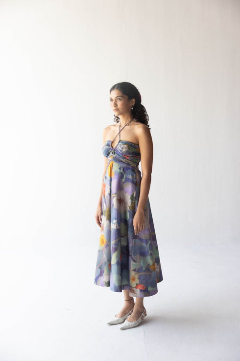Blueberry grove dress