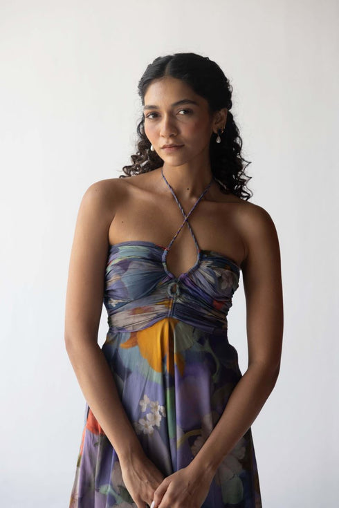 Blueberry grove dress