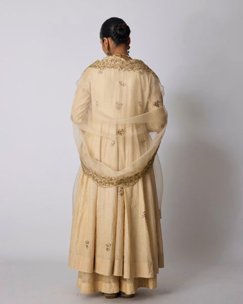 Chavi anarkali set