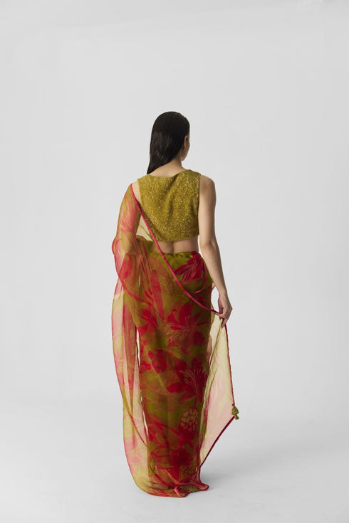 Chin chin lian lime and pink sari