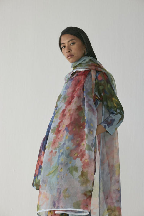 Darlington organza dupatta