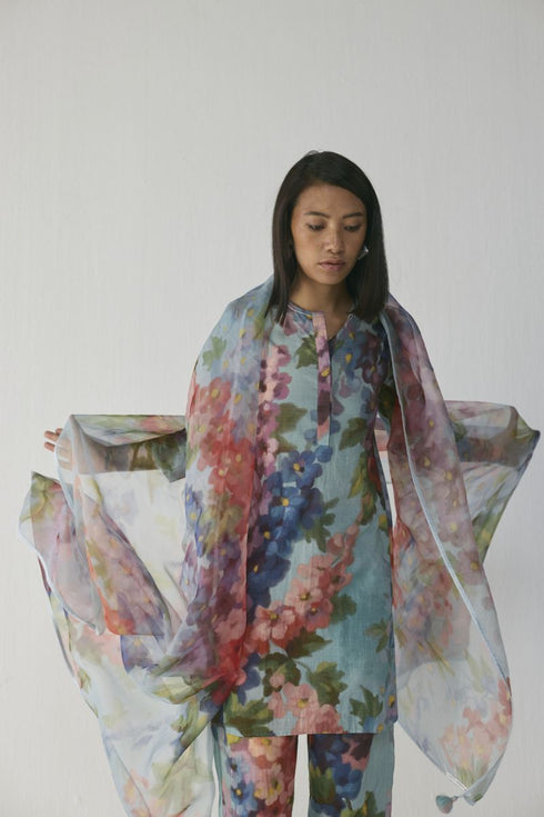 Darlington organza dupatta