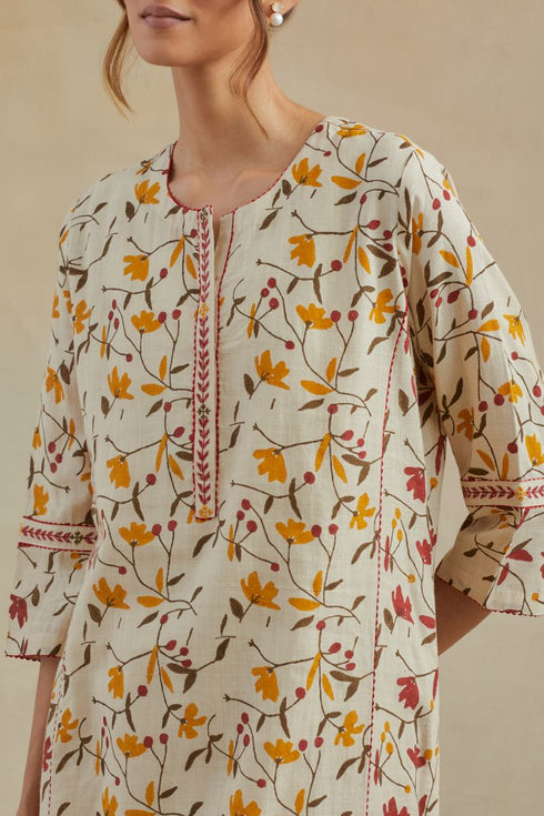 Dia beige and red straight kurta set