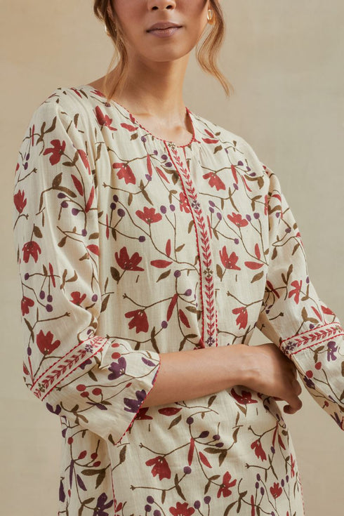 Dia beige and rust straight kurta set