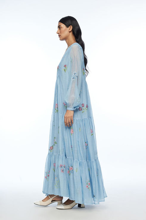 Diplodonta blue embroidered dress