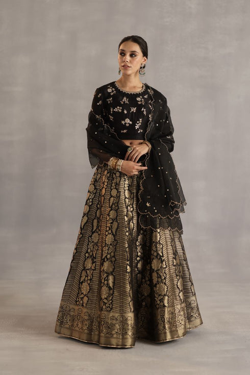 Durbaar malhar black lehenga set
