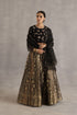 Durbaar malhar black lehenga set