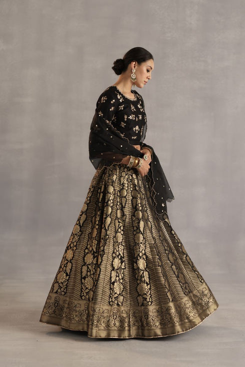 Durbaar malhar black lehenga set