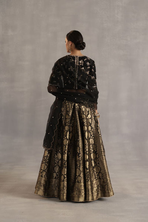 Durbaar malhar black lehenga set