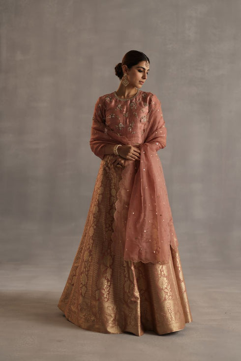 Durbaar malhar peach lehenga set