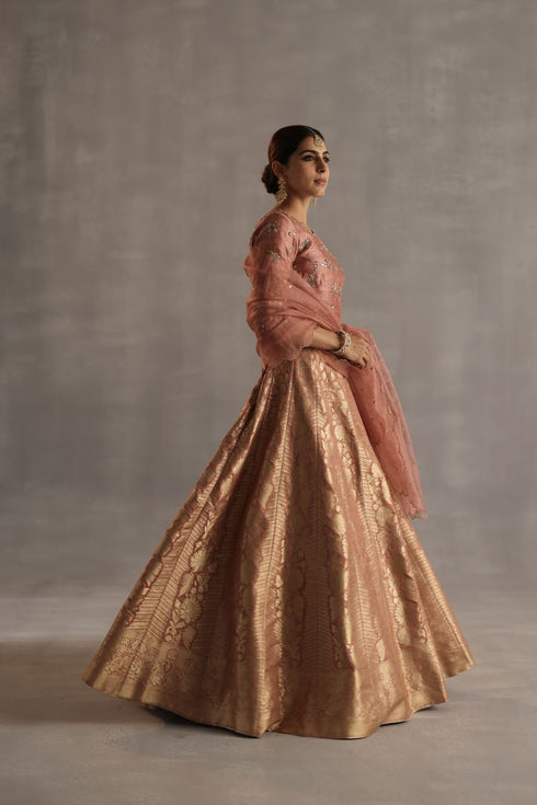 Durbaar malhar peach lehenga set