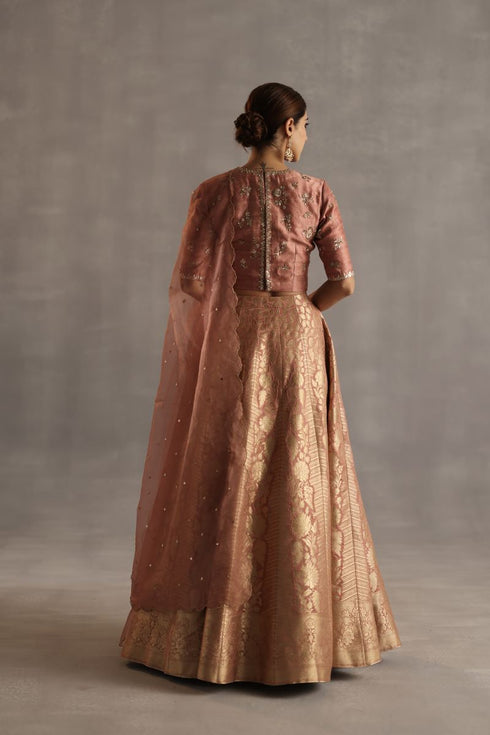Durbaar malhar peach lehenga set