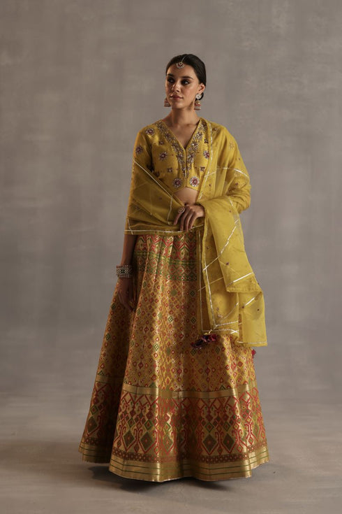 Durbaar saras mustard lehenga set