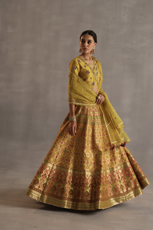 Durbaar saras mustard lehenga set
